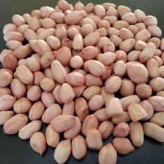 Peanut