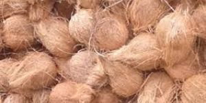 Semi Husked Coconut