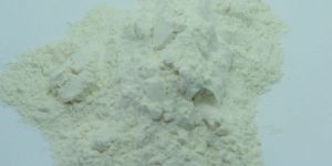 Xanthan Gum Powder