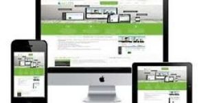 Responsive Website Designing Service