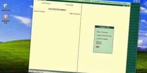 Tally ERP Account Software