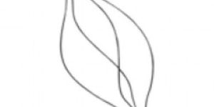 Flexible Retrieval Wire Basket