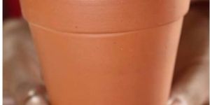Terracotta Clay Cutting Chai Glass