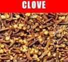 Clove