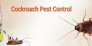 Cockroaches Pest Control Services
