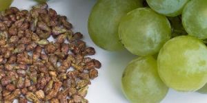 Grape Seed Extract