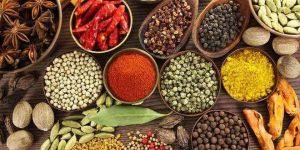 Indian Spices
