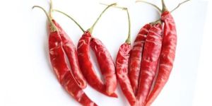 Dry Red Chilli