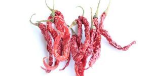 Dry Red Chilli