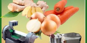 Food Processing Machine