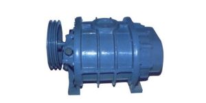 Twin Lobe Rotary Air Blower