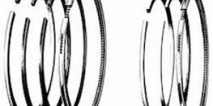 Oil Engine Piston Rings