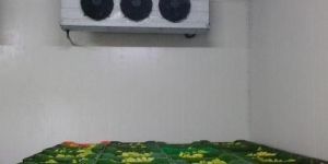 Vegetable Storage Cold Room