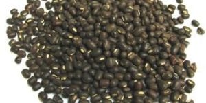 Black Matpe Beans
