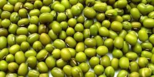 Green Moong Beans
