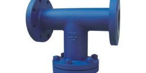 Tee Strainer