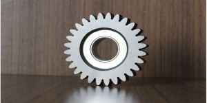 Spur Gear
