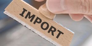 Import Licensing Services