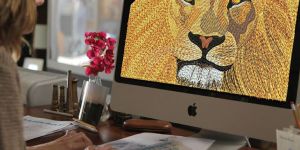 Wilcom Embroidery Digitizing