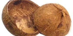 Coconut Shell Products