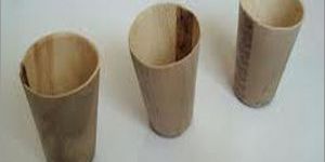 Areca Palm Leaf Glasses