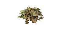 Dry Curry Leaves