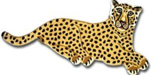 Door Mats / Floor Mats