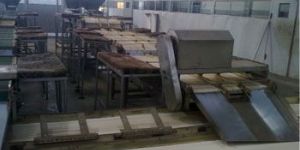 Sortation Conveyor