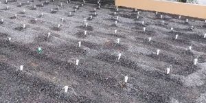 Phytoremediation Treatment Plant