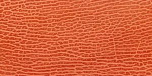 Orange Snake Texture Leather