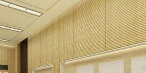 Auditorium Carved Wall Panelling