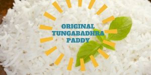 Kurnool Sona Masoori Rice