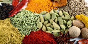 Indian Spices