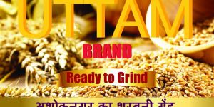 Uttam Brand Sharbati Wheat Seeds