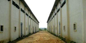 Warehouse Rental Services