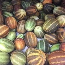 Fresh Muskmelon
