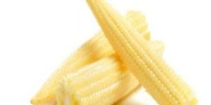 Baby Corn