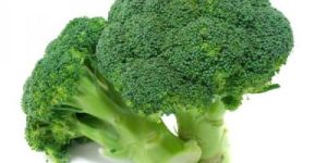 Fresh Broccoli