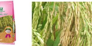 Agri Seeds