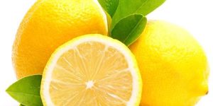 Fresh Lemon