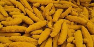 Turmeric Finger