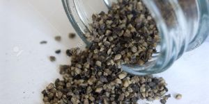 Black Pepper Seeds