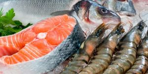 Frozen Seafood
