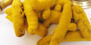 Turmeric Finger