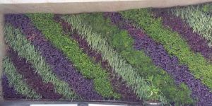 Vertical Indoor Garden
