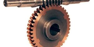 Worm Gear Wheel