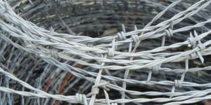 Barbed Wire