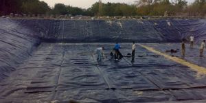 HDPE Liners