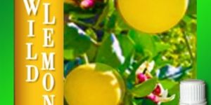 Wild Lemon Essential Oil