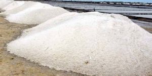 Iodised Free Flow Salt